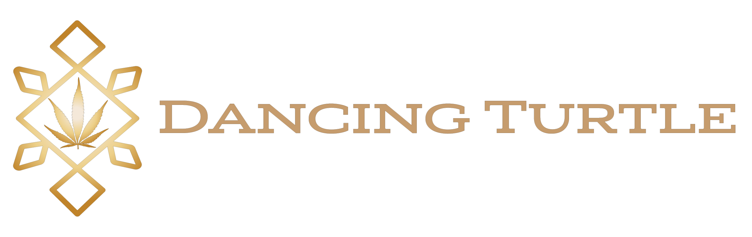 dancing-turtle-logo-horizontal